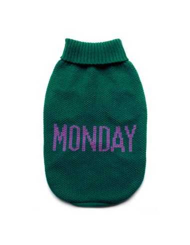 Dog sweater Everyday - Record