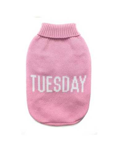 Dog sweater Everyday - Record