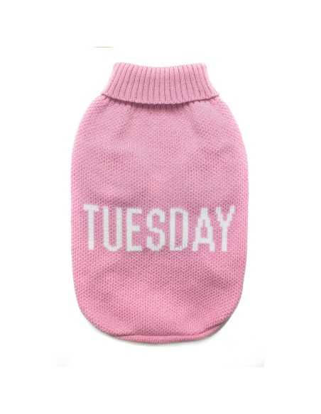 Dog sweater Everyday - Record