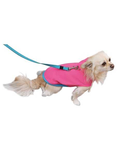 Winter hooded sweatshirt for dogs - Record