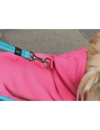 Winter hooded sweatshirt for dogs - Record