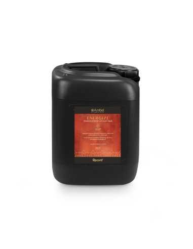 Ambel Energize shampoo idratante per manti lunghi - Record