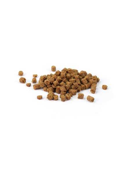 Snack for cats Mini Bacetti fish and apple Anima Pura 45 g - Record