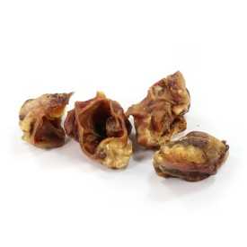 Dried meat snack for dogs Anima Selvaggia pork ear pieces (2x) 30 g - Record