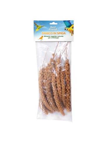 Spighe di panico per uccelli e pappagalli 250 g - Best Friend