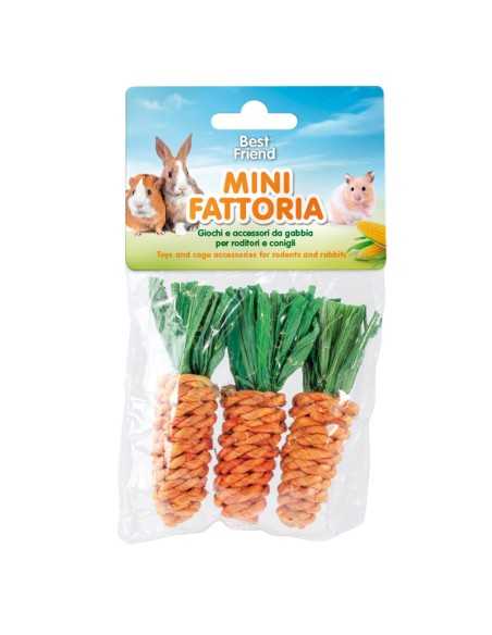 Corn fiber carrot rodent toy - Best Friend