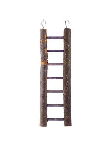 Wooden bird climbing frame - Best Friend