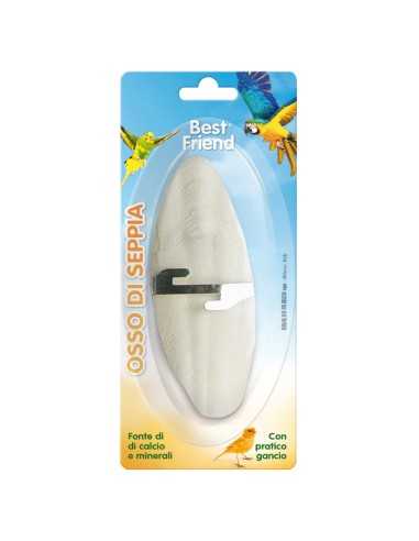 Cuttlefish bone with holder - Best Friend