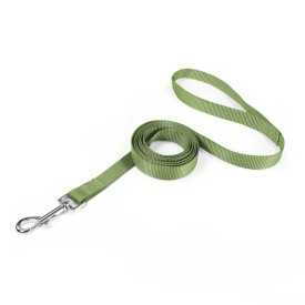 Basic nylon dog leash - Record