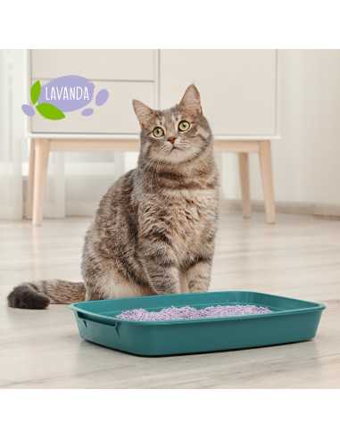 Benatural tofu cat litter 5,5 l - Cat&Rina