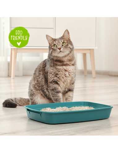 Benatural Lettiera per gatti al Tofu 5,5 l - Cat&Rina