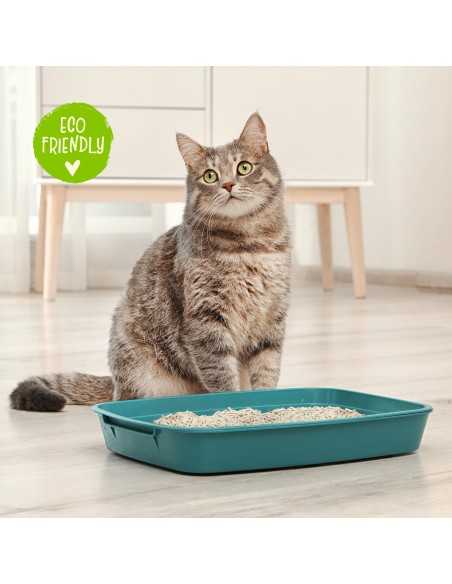 Benatural Lettiera per gatti al Tofu 5,5 l - Cat&Rina