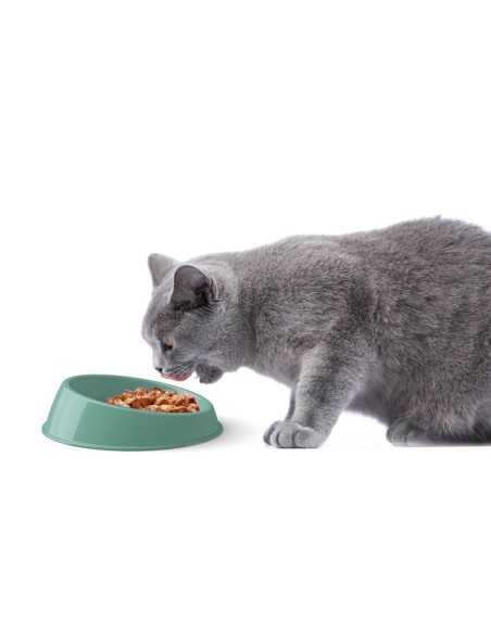 Cat bowl with lowered edges Vibrissa - Record