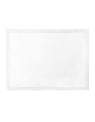 Assorbipiù puppy pads 60 x 90 cm - Record