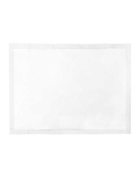 Assorbipiù puppy pads 60 x 90 cm - Record