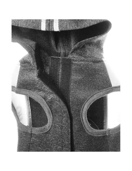 Active dog sweatshirt - Record