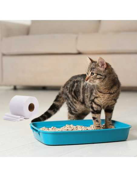 Catigienica paper cat litter 12 l - Cat&Rina