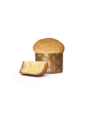 Handmade Christmas desserts for dogs, Panettone and Pandoro - Record