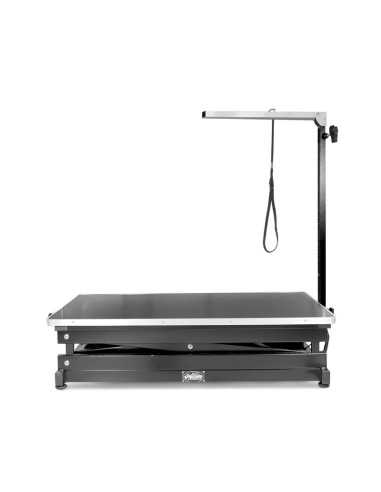 Electric pantograph table - Record