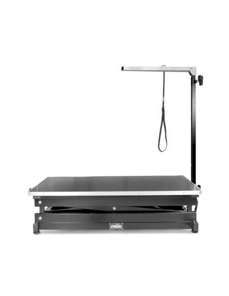 Electric pantograph table - Record