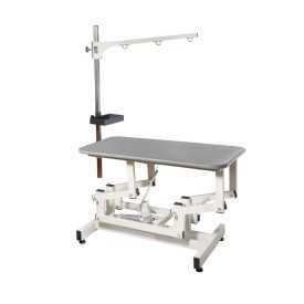 Electric table - Record