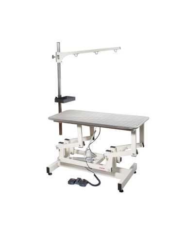 Electric table - Record