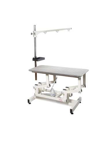 Electric table - Record