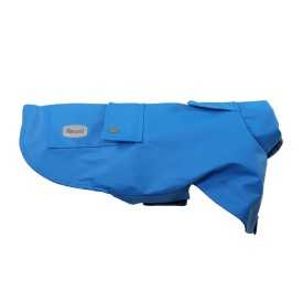 Paddington dog raincoat - Record