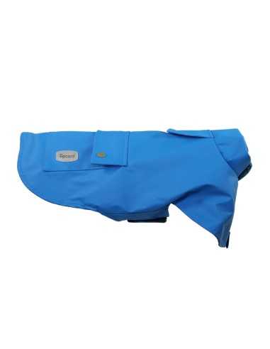 Paddington dog raincoat - Record