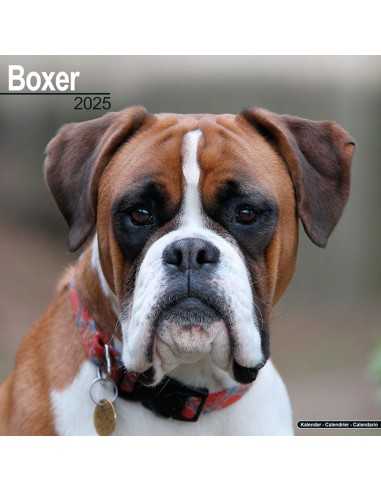 Calendars with guard and defence dogs - Record