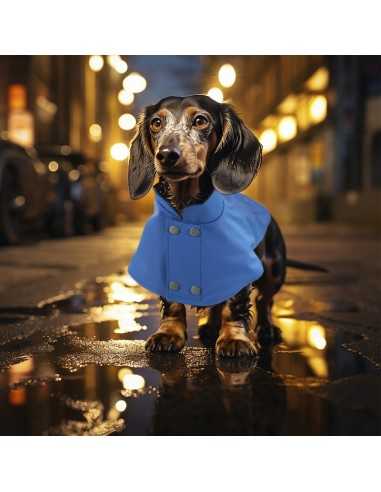 Impermeabile per cani Paddington - Record