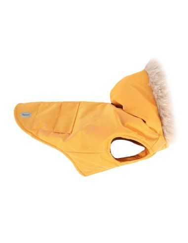 Polar dog coat - Record
