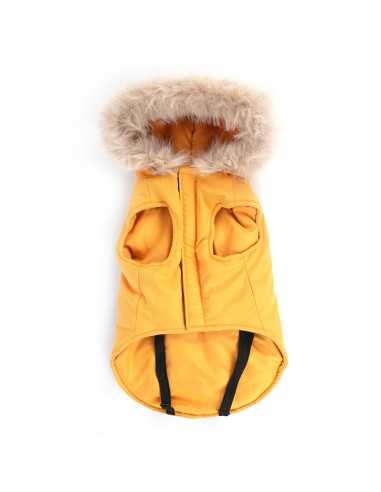 Polar dog coat - Record