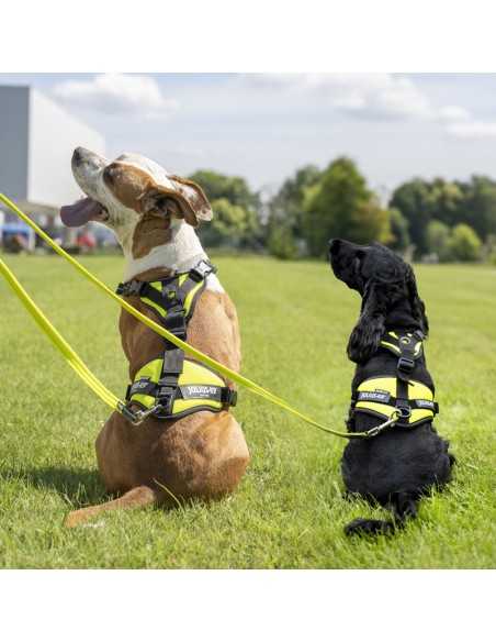 Pettorina per cani Air Mesh Mantrailing - Julius K9