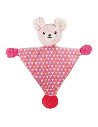 Puppy chewing toy First Bites - Record