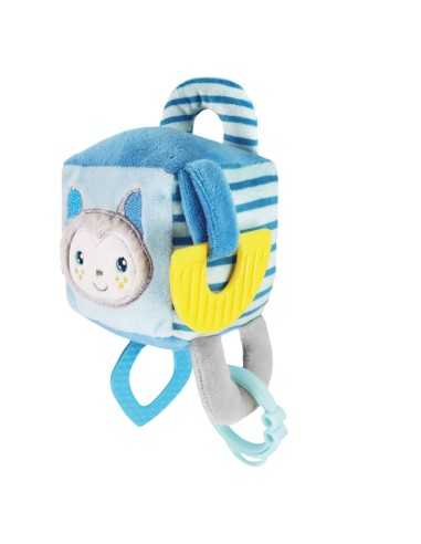 Puppy chewing toy First Bites Nut - Record