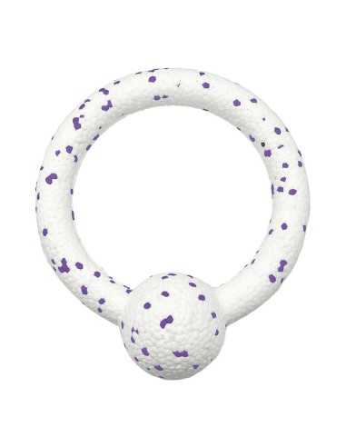 Dog chewing toy Durapop - Record