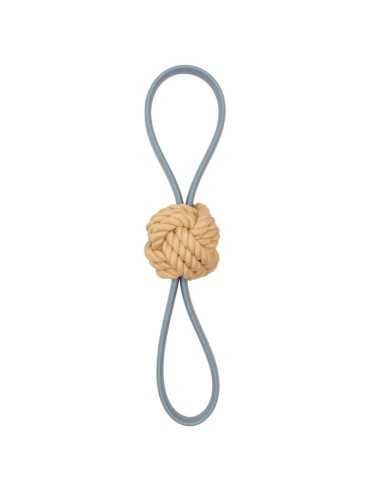 Interactive dog toy Flex - Record