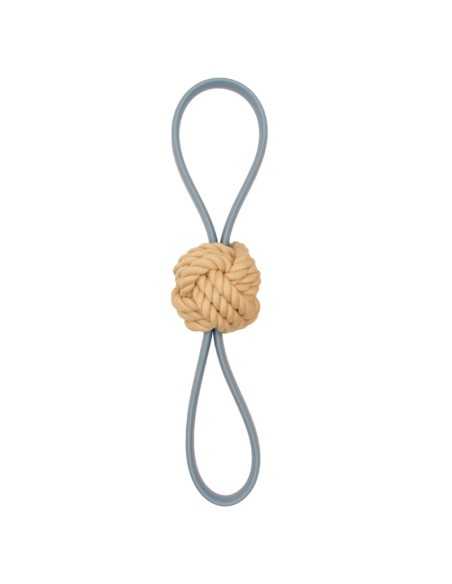 Interactive dog toy Flex - Record