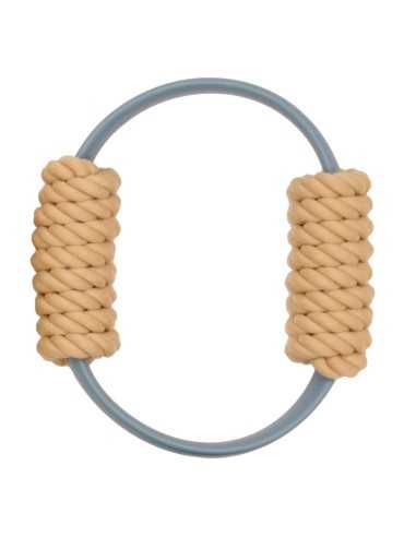 Interactive dog toy Flex - Record