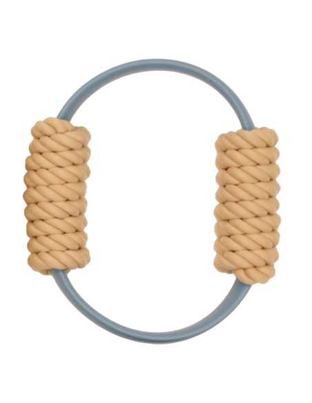 Interactive dog toy Flex - Record