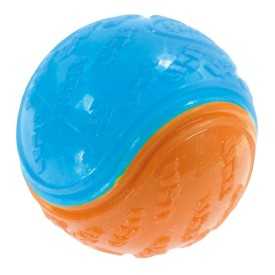 Dog chewing toy Bicolor Ball - Record