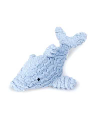 Dog chewing toy Reef - Record