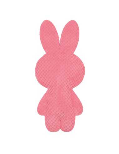 Dog chew toy Woodstock - Record