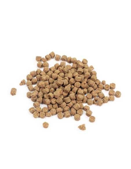 Snack for cats Mini Bacetti fish and apple Anima Pura 45 g - Record