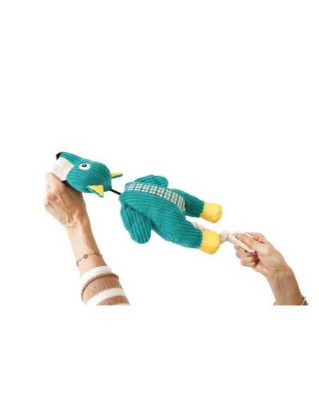 Interactive dog toys Wildplay - Record