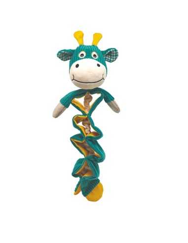 Interactive dog toys Wildplay - Record