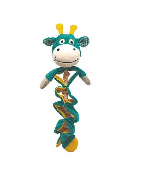 Interactive dog toys Wildplay - Record