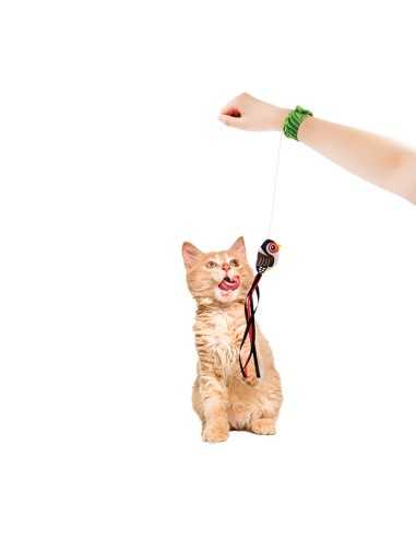 Gioco interattivo per gatti Braccialetto - Record