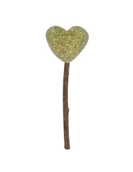 Cat chewing toy Lollipop - Record